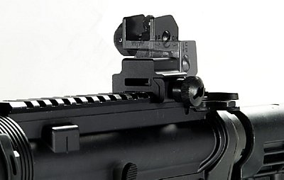 Rear Flip Sight